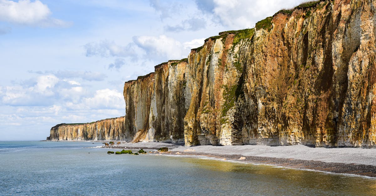 découvrez les meilleures activités à dieppe, entre patrimoine historique, plages, gastronomie et loisirs en plein air pour toute la famille.