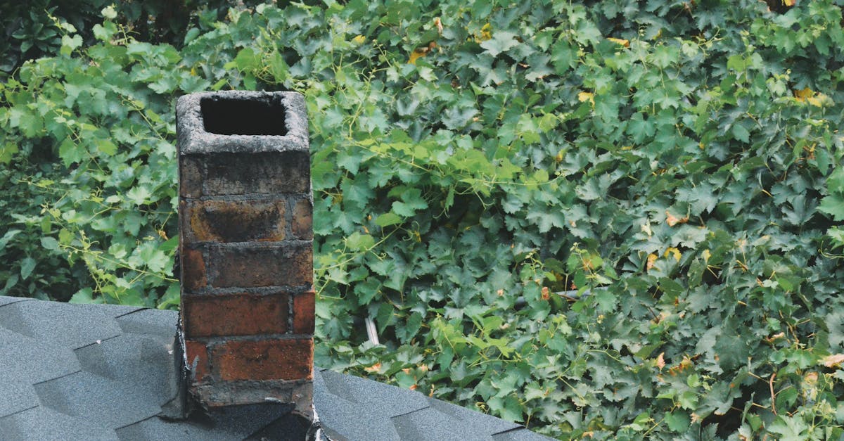 apprenez étape par étape comment construire une cheminée solide et sécurisée, avec des conseils pratiques pour choisir les matériaux et assurer une bonne ventilation.